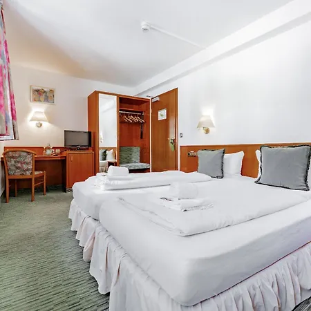 Hotel Domschatz 3*
