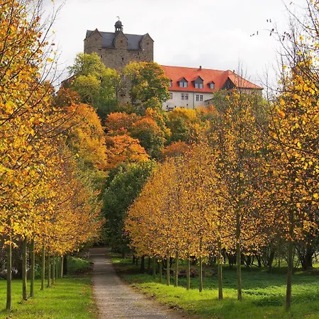 Domschatz 3*