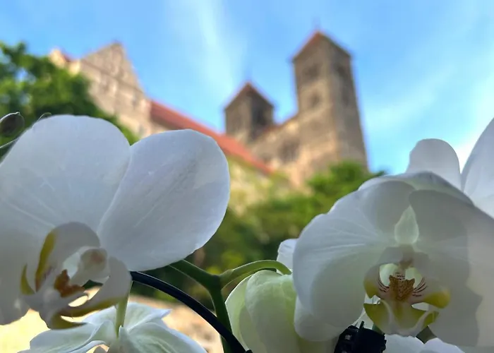 Domschatz Szálloda 3*