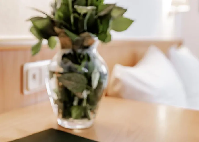 Szálloda Domschatz 3*